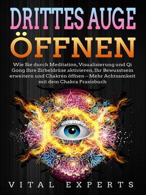 cover image of DRITTES AUGE ÖFFNEN